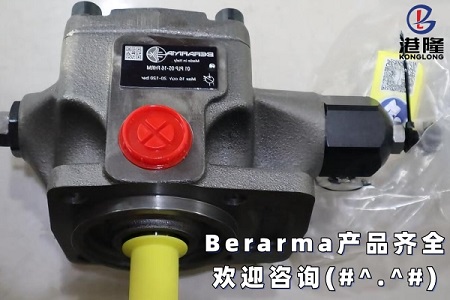 Berarma布萊瑪葉片泵